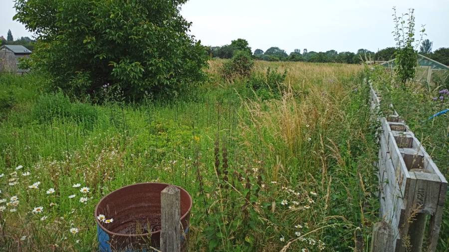 20210709-allotment_right_view.jpg
